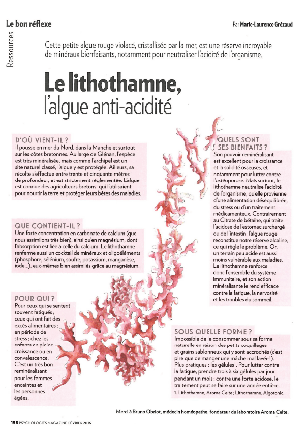 Le lithothamne, l'algue anti-acidité