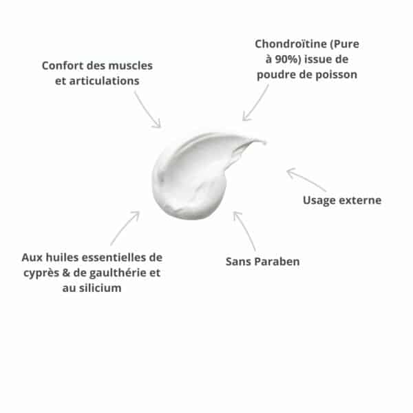 Arthro Confort Crème